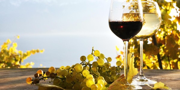 top-of-vini-parkhotel-laurin-degustazione-vini-migliori-premiati-alto-adige-bolzano-eventi-exclusive-wine