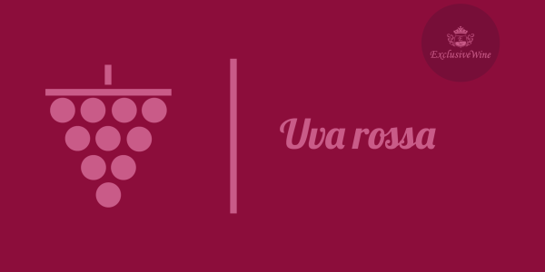 uva-rossa-tipologie-caratteristiche-uva-da-tavola-uva-da-vino-glossario-exclusive-wine