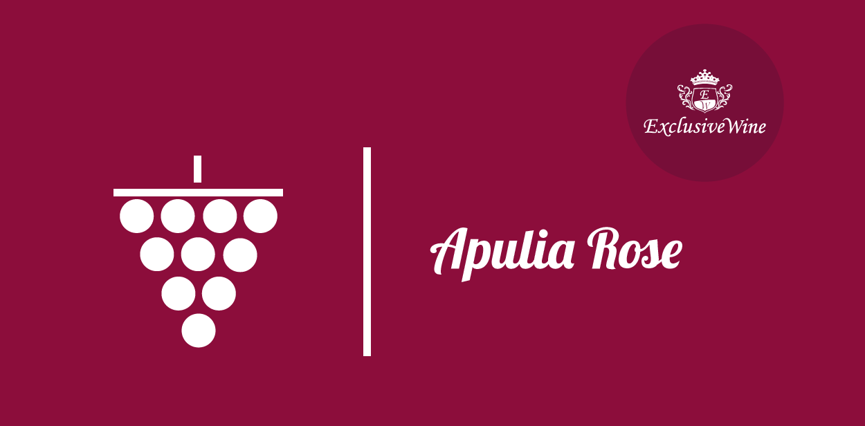 Traube Apulia Rose