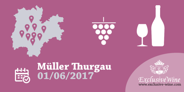 a-tutto-mu--ller-thurgau-giugno-2016-strada-del-vino-e-dei-sapori-del-trentino-alto-adige-eventi-exclusive-wine